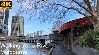 Walking Along Yarra River | Melbourne Australia | 4K UHD