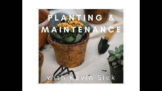 Spring Planting and Maintenance