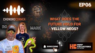 Chondro Corner Episode 6 - What Does the Future Hold for Yellow Neos