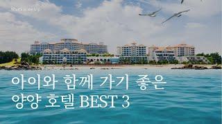 양양 호텔 추천 3곳 | 쏠비치, 낙산비치 , 투와이 | 오션뷰가 매력적인 가족여행 숙소