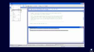 Reading Data into SAS Using a Setup File