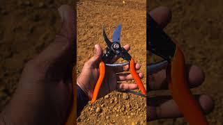 Falcon major secateur for pruning plants #farming #farmequipment #pruner