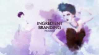 Swarovski Ingredient Branding Program