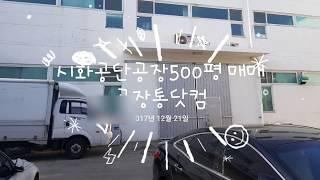 시화공단 500평 공장매매 공장통닷컴 제공