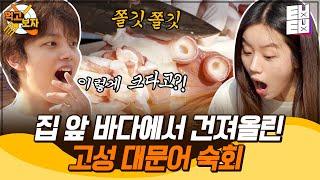 [먹고보자] 왕 크니까 왕맛있다 심지어 질기지도 않은 고성 대문어의 클라쓰! 아침에 잡아서 신선도도 200% 보장이라구요 ｜바퀴달린집