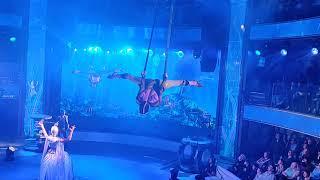Aerial straps solo