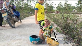 Baby Monkey KUKU brought his brother back from school with a helmet