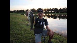 Looking for Spawning Bass in Parrish, FL (Featuring: Live For Today)