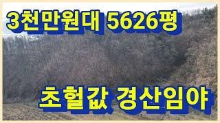 경산시 용성면 초급매 5626평 3천만원 대로 급처분 하는 경산 임야 가져가세요 3081