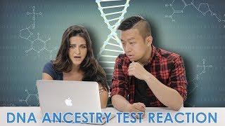 Reacting to Shocking DNA Results I MyHeritageDNA