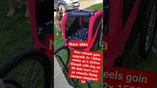 dog on bike flying 70mph