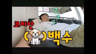 필리핀 시골에 사는 한국 백수 아저씨의 하루 | 국제 부부 브이로그 | 국제 결혼 | 동남아 이민 | 필리핀 이민