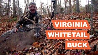 Big Virginia Whitetail Buck