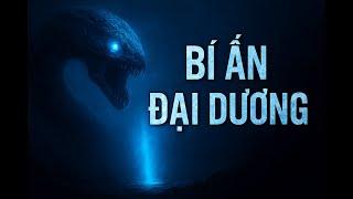 Bí Ẩn Dưới Biển Sâu – Điều Gì Đang Ẩn Mình Ở Đó?