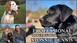 Professional Dog Training Session With Stonnie Dennis