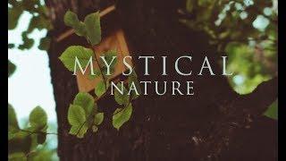 Mystical Nature