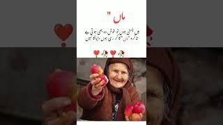 Best urdu quotes What'sapp status|Urdu quotes #love #maa #islamicvideo #viralvideo
