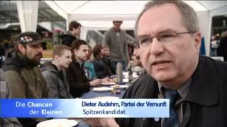 Die Chancen der Kleinen: Partei der Vernunft (Pdv)