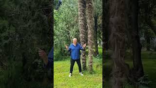 "Никто тебе не любит так, как я"