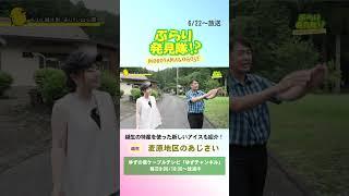 [Yuzu Channel Recommendation] Burari Discovery Team June 22nd Issue
