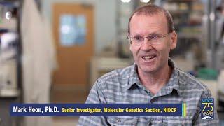 NIDCR Lab Snapshots: Molecular Genetics Section