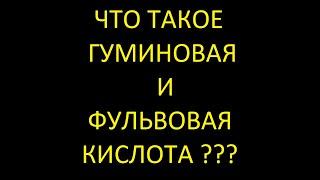Что такое гуминовая кислота. Что такое фульвовая кислота