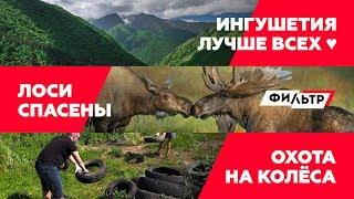 Чисто КАВКАЗ / ЗАКОН и ЛОСИ / ОХОТА на КОЛЁСА // ФИЛЬТР