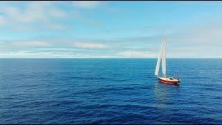 Singlehanded TransPac SHTP 2021 - Solo Sailing Race Across Pacific Ocean from San Francisco to Kauai