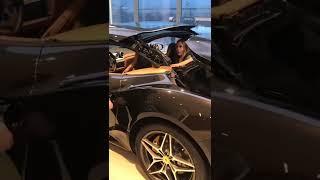 New car lover