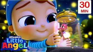 Baby John and The Firefly 🪰 Bingo and Baby John | Little Angel Nursery Rhymes and Kids Animal Songs