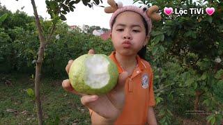 snack 23 | Eat Cucumber, Guava, Jelly, Rice Pops, Ice Cream, Lollipops, Marshmallows | Loc TV