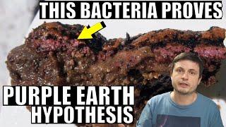 Strong Evidence For Purple Earth Hypothesis From Atacama Desert Bacteria