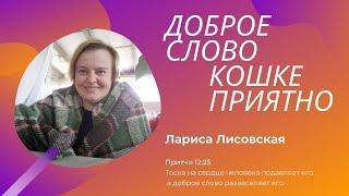 Доброе слово  кошке приятно / Лариса Лисовская