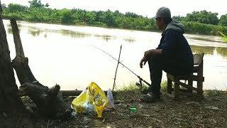 Mancing di bengawan solo umpan gorengan kedatangan tamu yg tak diundang