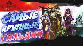 Guild Wars 2. КАК ВЫБРАТЬ ГИЛЬДИЮ? САМЫЕ КРУПНЫЕ ГИЛЬДИИ!