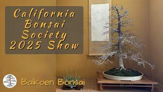 67th California Bonsai Society (CBS) 2025 Show - Bonsai Exhibition - Baikoen Bonsai Club