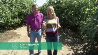 "Fresh Fig Recipes"- Farmer Kevin Herman- PBS 318