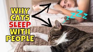 9 Scientific Reasons Why Your Cat Sleeps With You