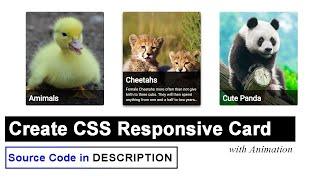 Create CSS Responsive Card with Animation | CSS Card