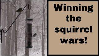 E7: How to keep squirrels off your bird feeders