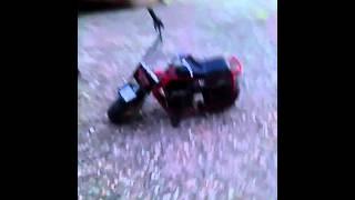 Burn outs on Forest's 212cc minibike.