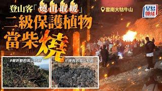 無品遊客︱夜爬雲南大牯牛山「燒山」取暖 12人被處罰｜星島頭條新聞｜雲南｜大牯牛山｜山火｜燒山｜遊客｜禮儀