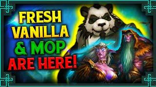 This Is The Future of Classic WoW... Fresh Vanilla MOP & Classic+?