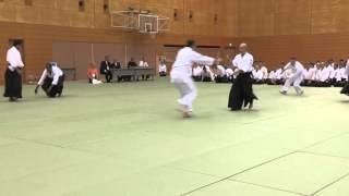 Brazil - 11th International Aikido Federation Congress in Tokyo - Demonstrations