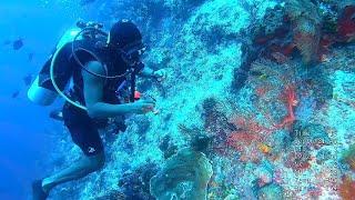 Full scuba Dive03