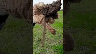 Новый плейлист "Монастырь с нуля" Первый день.:#монастырь