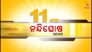  Live | Nandighosha News@11am | Nandighosha TV | Odisha