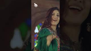 Laila Khan and Bakhtiar Khattak - Halek Naray Chinar | لیلا خان و بختیار ختک - هلک نری چنار