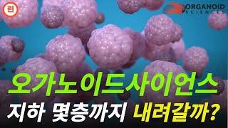 [오가노이드사이언스 분석] 단기시황 및 회사 주요 진행상황 정리 #오가노이드사이언스