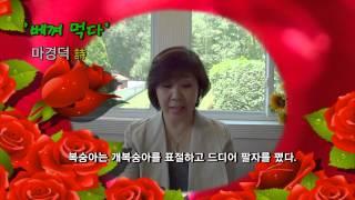 한국문학방송